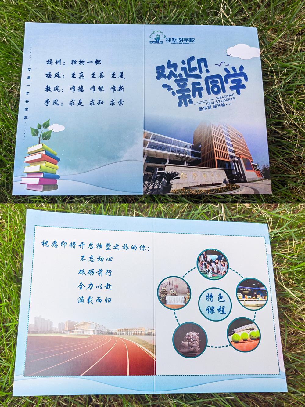 2642ac8805654b10b27cb09a828a7af3.jpg