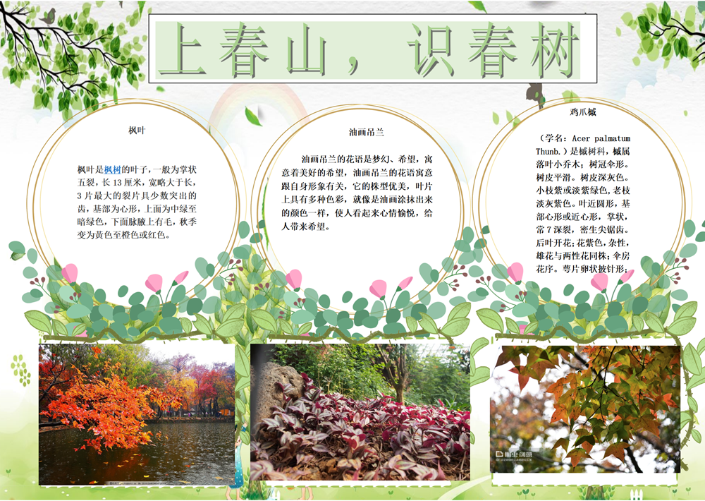 af6f5b3b9056479dac2d6f0311451be9.png