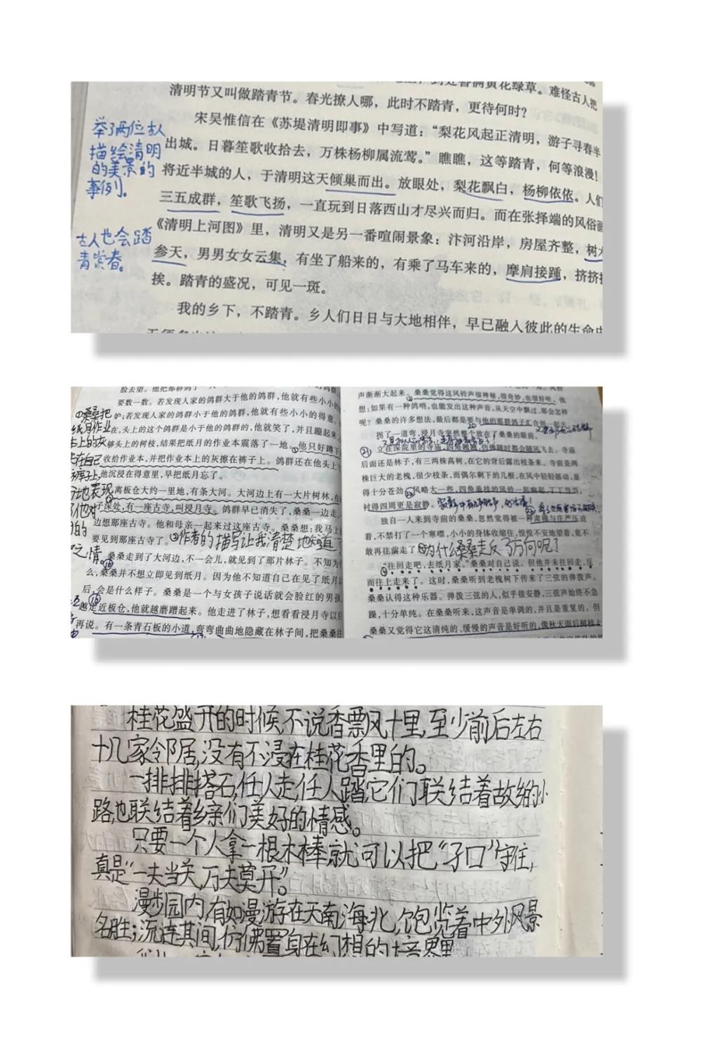 31317eee99ee4e308d1cc19e5372020f.jpg